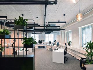 Cewood Holzwolle Akustikplatten 1200x600x25mm weiss (=0,72 m²)