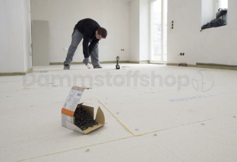 Fermacell Schrauben 3,9 x 22 mm 1000 St.